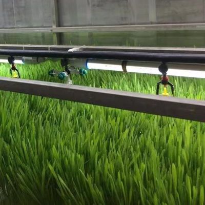 室内水栽培 JXコンテナ温室付きの商業用マイクログリーン栽培システム