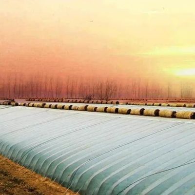パッケージ 総重量 2000,000kg 野菜栽培のための軽量太陽光温室