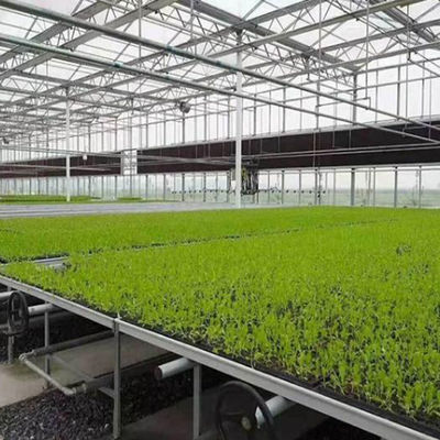 熱水加熱 多スパン種植ガラス温室 水栽培 ストロマル制御