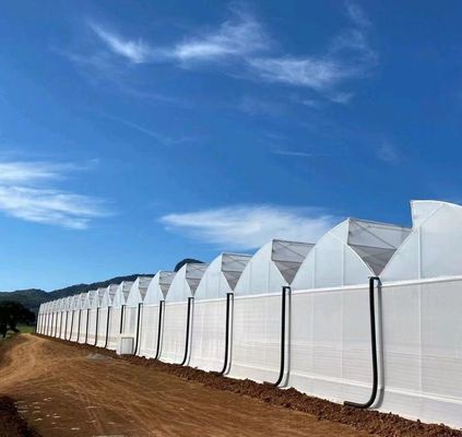 ベンロ様式 屋根 複層 プラスチックフィルム 水育種植システム 農業用