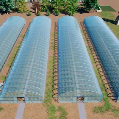 大型温室での大規模農業のための水栽培栽培システム JX-A004
