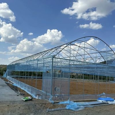 水栽培システム付き トマト/黄瓜のストロベリー用のアーチ型プラスチック農業温室
