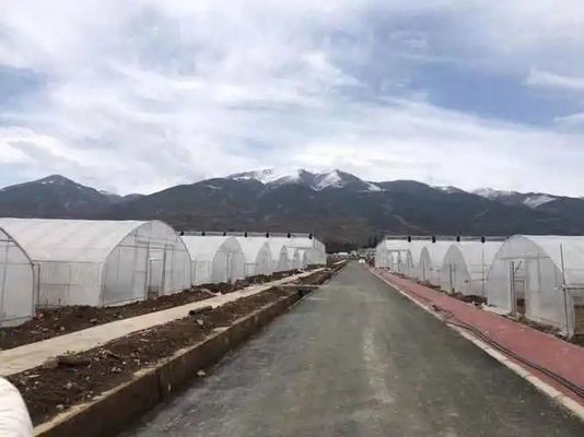 20.000kg パッケージ 総重量 フィルムカバー 水管 水栽培 温室溶液