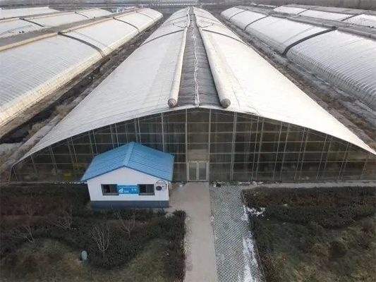 20.000kg パッケージ 総重量 フィルムカバー 水管 水栽培 温室溶液
