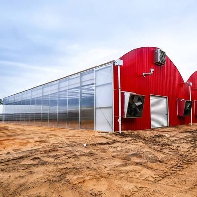 原産地 エコ温室システム フィルムカバー材料 20000kg パッケージ総重量