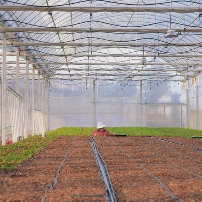 滴滴灌水 エコ温室システム 輸送コストと推定納期について