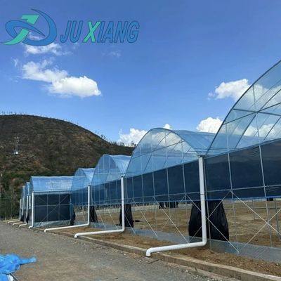 輸送コスト 農業用多スパンプラスチックトンネルフィルム 温室カスタマイズ