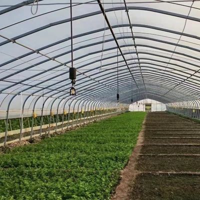 US 20/ピース 単段の農業トンネルプラスチックフィルム付きの野菜温室