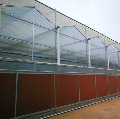 工業用トンネルフィルム 多層温室 水栽培技術と材料