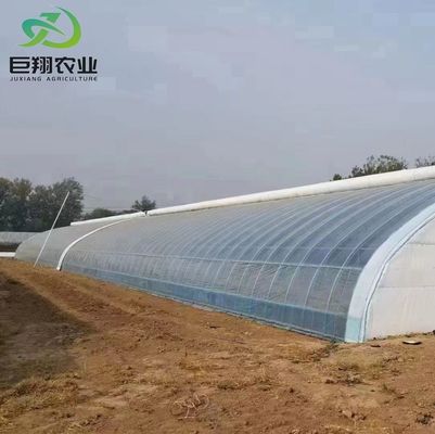 20GP 40GP 40HC 鉄鋼・プラスチック 建材 医療用植物/真菌のための温室