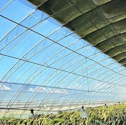 種植物の栽培と薬用植物/真菌のためのプラスチックシートブラックアウト温室
