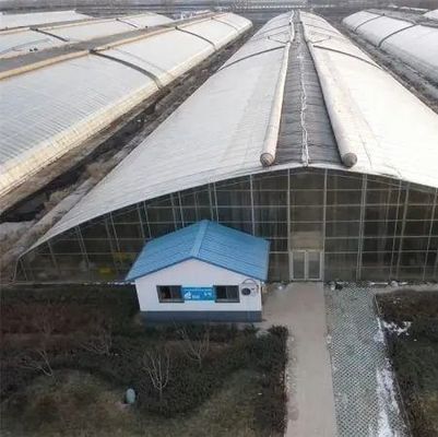 種植物の栽培と薬用植物/真菌のためのプラスチックシートブラックアウト温室