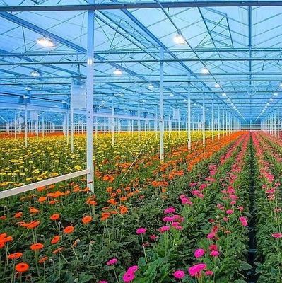 種植物の栽培と薬用植物/真菌のためのプラスチックシートブラックアウト温室