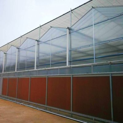 アメリカ 農業用 多スパントンネル 水育システム付きプラスチックフィルム温室