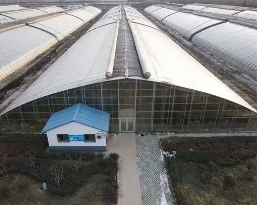 トマト キュンバー ストロベリー 水産 システム で 農業 の 経験 を 変え て ください