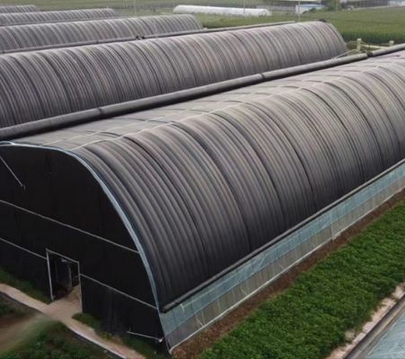 温室水産養殖の効率化のための多スパン水管水産栽培システム