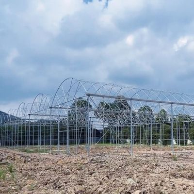 温室水産養殖の効率化のための多スパン水管水産栽培システム