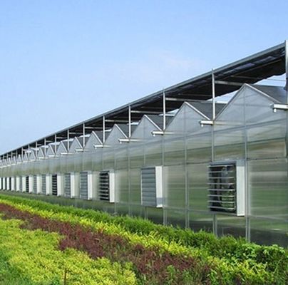 大型水産物 トマト カギ ストロベリー 水産物 温室 高産出