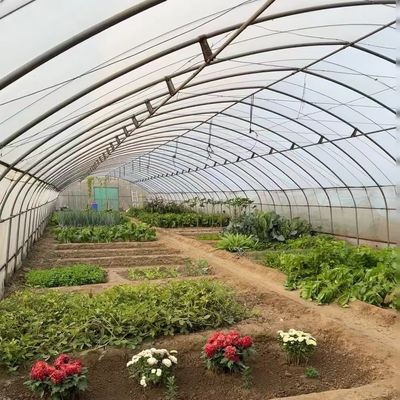 トンネル温室 野菜とトマト パッケージ サイズ 50.00cm * 60.00cm * 50.00cm