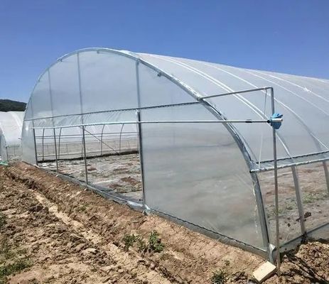 複数のスパン商業温室 終わりの花見とストライプガラステラス