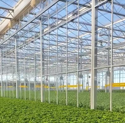 商用温室 雪振動装置の二重弧線温室 通貨