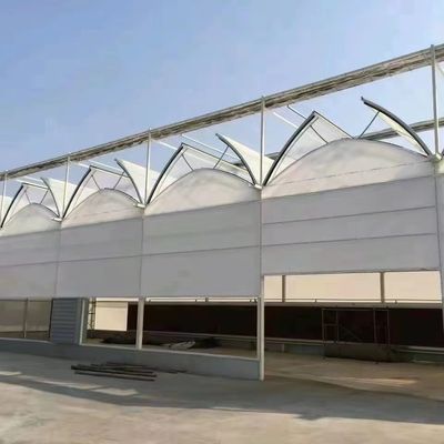 水産物 鋼鉄構造 毛布付き太陽温室 ローリングシャッターと材料