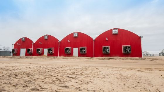 水産物 鋼鉄構造 毛布付き太陽温室 ローリングシャッターと材料
