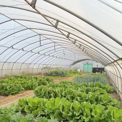 私たちの革新的な滴滴灌輸トンネル温室キットのための便利な返金