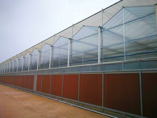 商業用温室 PEフィルム プラスチック 農業温室 米国/カナダ/オーストラリア