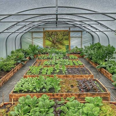 果物と野菜のための多スパン商業温室水栽培栽培システム