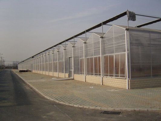 屋根 形 弧型 屋根 野菜/苗木を育てるエコ温室 温水