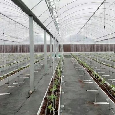 大規模な野菜と花の生産のための平方メートル水栽培システム