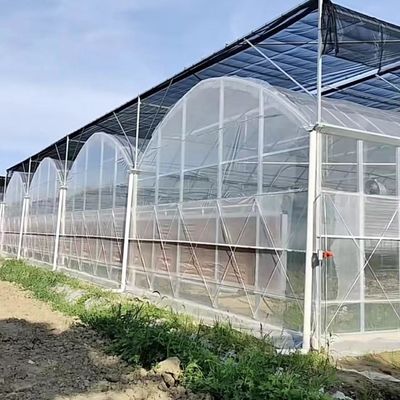 鉄鋼構造 農業 多スパン温室 簡単に設置できる水栽培