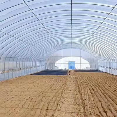革新的多スパン滴滴灌輸トンネル温室システム 30日間の返金