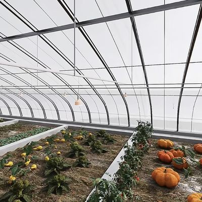 多スパンアーチトンネル温室水栽培栽培システム