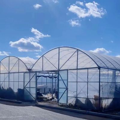 マルチスペン温室水栽培野菜栽培システム 鉄筋構造 20000kg