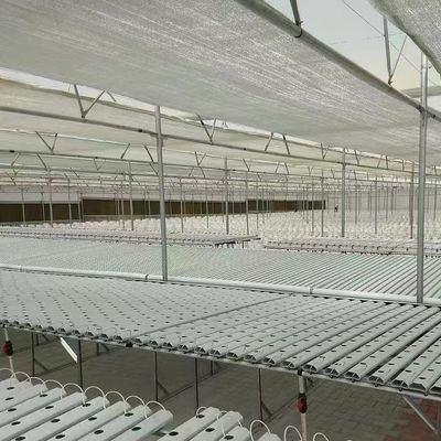 マルチスペン温室水栽培野菜栽培システム 鉄筋構造 20000kg