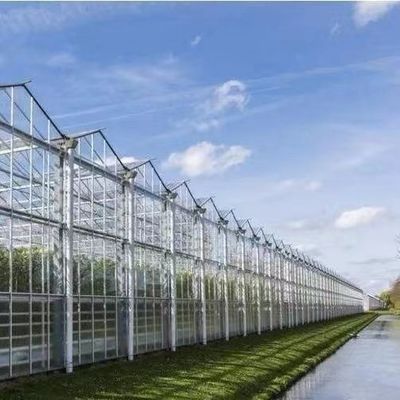 カプシカムの植え付けのための太陽光温室 先進的な野菜栽培方法