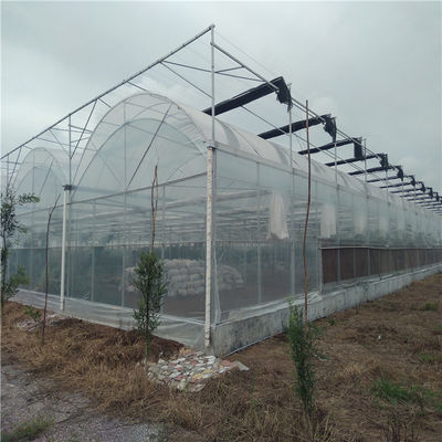 カプシカムの植え付けのための太陽光温室 先進的な野菜栽培方法