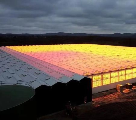 カスタマイズされた要求 原産地 野菜用二重弧線温室 20GP/40GP/40HC
