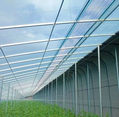 カスタマイズされた要求 原産地 野菜用二重弧線温室 20GP/40GP/40HC