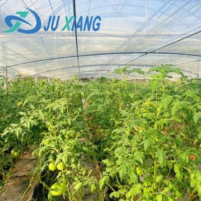 オーダーメイドの二重アーチビーム温室 あなたのニーズに個別化された野菜