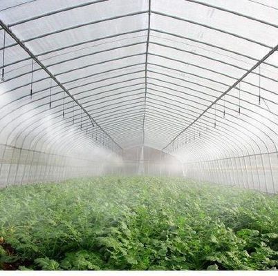 オーダーメイドの二重アーチビーム温室 あなたのニーズに個別化された野菜