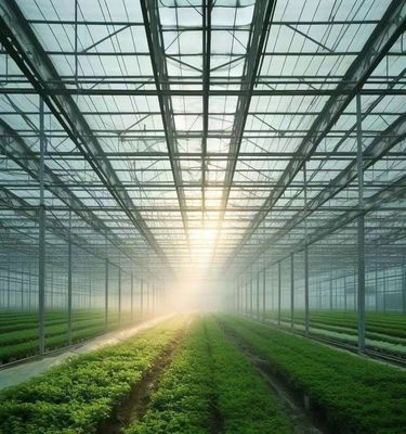 野菜栽培 雪振動器付き温室 30日以内に返金