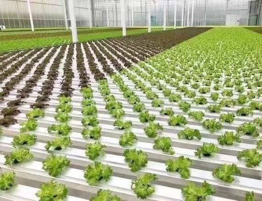 野菜栽培 雪振動器付き温室 30日以内に返金