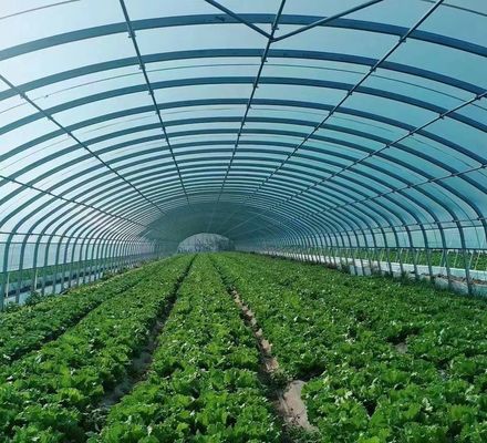 野菜栽培 雪振動器付き温室 30日以内に返金