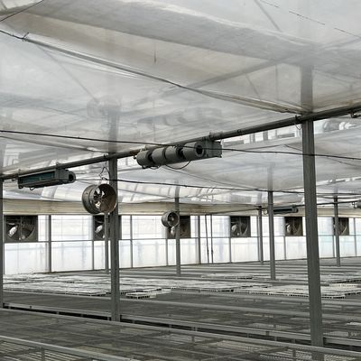 商業温室の水管農業システムのための30日返金