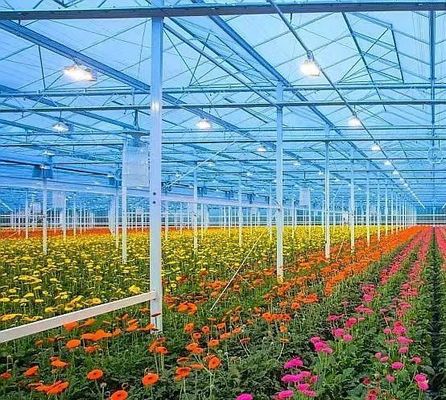 初期支払い 雪振動器 農業用温室 暖房方法