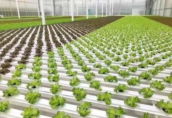 初期支払い 雪振動器 農業用温室 暖房方法