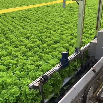 農業 マルチスペン 温室 プラスチックフィルム 水栽培 垂直農業システム